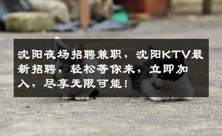 沈阳夜场招聘兼职，沈阳KTV最新招聘，轻松等你来，立即加入，尽享无限可能！