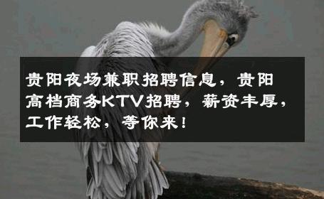 贵阳夜场兼职招聘信息，贵阳高档商务KTV招聘，薪资丰厚，工作轻松，等你来！