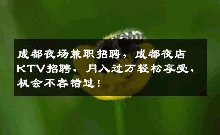 成都夜场兼职招聘，成都夜店KTV招聘，月入过万轻松享受，机会不容错过！