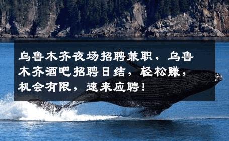乌鲁木齐夜场招聘兼职，乌鲁木齐酒吧招聘日结，轻松赚，机会有限，速来应聘！