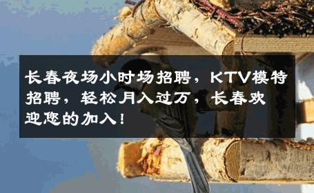 长春夜场小时场招聘，KTV模特招聘，轻松月入过万，长春欢迎您的加入！
