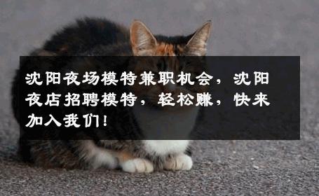 沈阳夜场模特兼职机会，沈阳夜店招聘模特，轻松赚，快来加入我们！