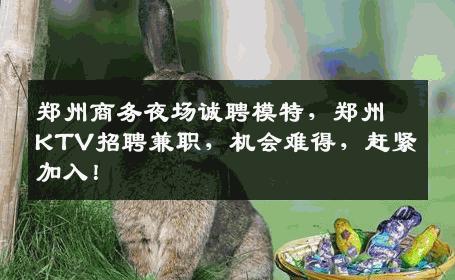 郑州商务夜场诚聘模特，郑州KTV招聘兼职，机会难得，赶紧加入！