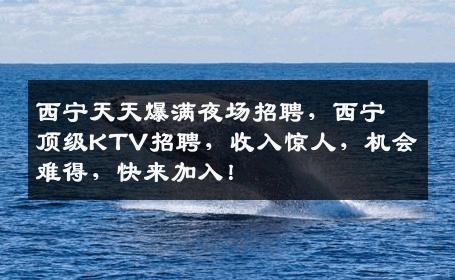 西宁天天爆满夜场招聘，西宁顶级KTV招聘，收入惊人，机会难得，快来加入！
