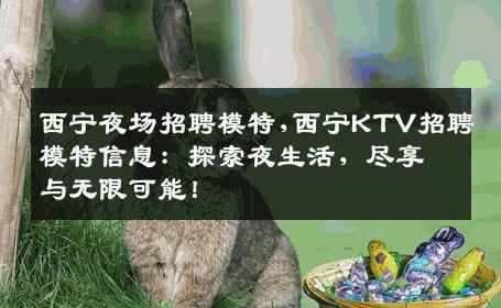 西宁夜场招聘模特,西宁KTV招聘模特信息：探索夜生活，尽享与无限可能！
