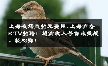 上海夜场直招无费用,上海商务KTV招聘！超高收入等你来挑战，轻松赚！