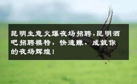 昆明生意火爆夜场招聘,昆明酒吧招聘模特，快速赚，成就你的夜场辉煌！