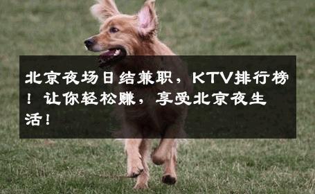 北京夜场日结兼职，KTV排行榜！让你轻松赚，享受北京夜生活！