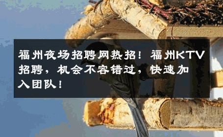 福州夜场招聘网热招！福州KTV招聘，机会不容错过，快速加入团队！