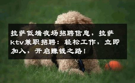 拉萨低端夜场招聘信息，拉萨ktv兼职招聘：轻松工作，立即加入，开启赚钱之路！