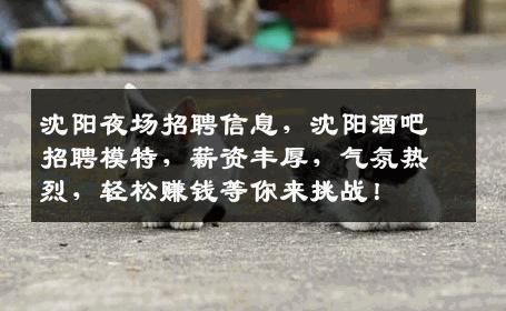 沈阳夜场招聘信息，沈阳酒吧招聘模特，薪资丰厚，气氛热烈，轻松赚钱等你来挑战！