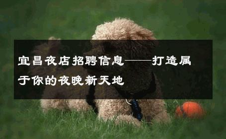 宜昌夜店招聘信息——打造属于你的夜晚新天地