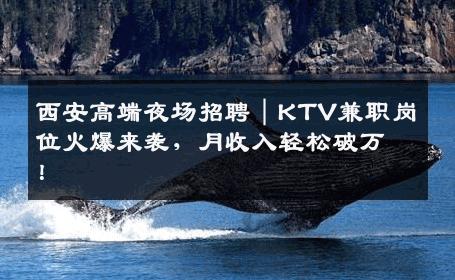 西安高端夜场招聘｜KTV兼职岗位火爆来袭，月收入轻松破万！