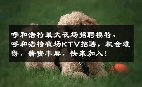 呼和浩特最大夜场招聘模特，呼和浩特夜场KTV招聘，机会难得，薪资丰厚，快来加入！