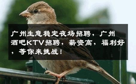 广州生意稳定夜场招聘，广州酒吧KTV招聘，薪资高，福利好，等你来挑战！