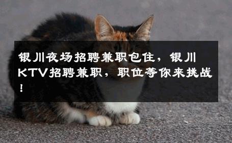 银川夜场招聘兼职包住，银川KTV招聘兼职，职位等你来挑战！