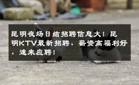 昆明夜场日结招聘信息大！昆明KTV最新招聘，薪资高福利好，速来应聘！