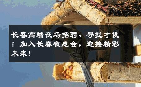 长春高端夜场招聘，寻找才俊！加入长春夜总会，迎接精彩未来！