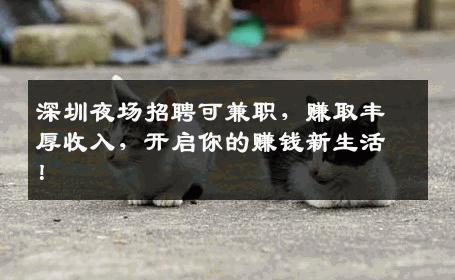 深圳夜场招聘可兼职，赚取丰厚收入，开启你的赚钱新生活！
