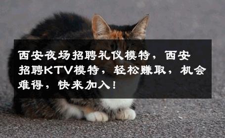 西安夜场招聘礼仪模特，西安招聘KTV模特，轻松赚取，机会难得，快来加入！