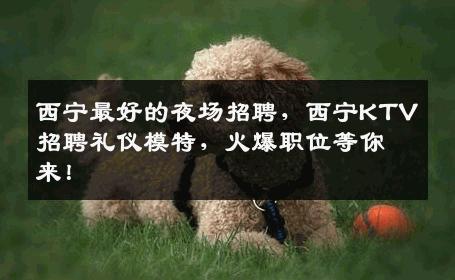 西宁最好的夜场招聘，西宁KTV招聘礼仪模特，火爆职位等你来！
