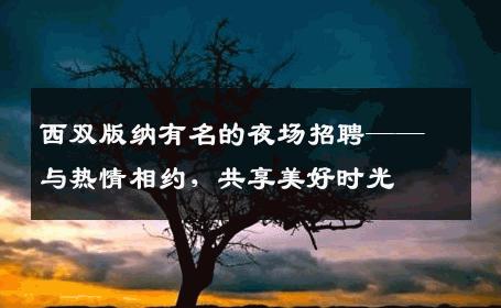 西双版纳有名的夜场招聘——与热情相约，共享美好时光