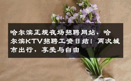哈尔滨正规夜场招聘网站，哈尔滨KTV招聘工资日结！两次城市出行，享受与自由