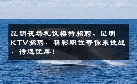 昆明夜场礼仪模特招聘，昆明KTV招聘，精彩职位等你来挑战，待遇优厚！