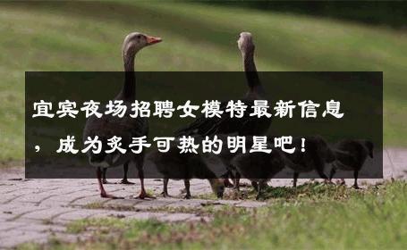 宜宾夜场招聘女模特最新信息，成为炙手可热的明星吧！