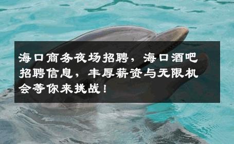 海口商务夜场招聘，海口酒吧招聘信息，丰厚薪资与无限机会等你来挑战！