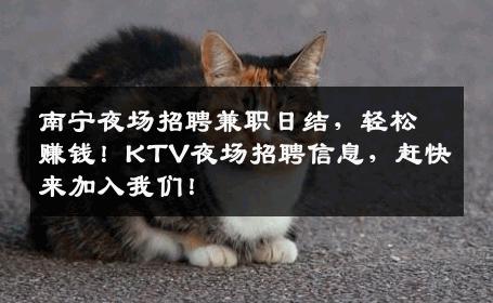 南宁夜场招聘兼职日结，轻松赚钱！KTV夜场招聘信息，赶快来加入我们！