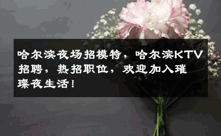 哈尔滨夜场招模特，哈尔滨KTV招聘，热招职位，欢迎加入璀璨夜生活！