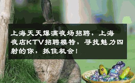 上海天天爆满夜场招聘，上海夜店KTV招聘模特，寻找魅力四射的你，抓住机会！