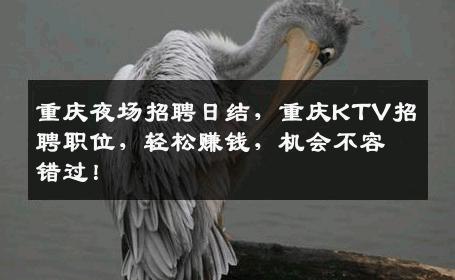 重庆夜场招聘日结，重庆KTV招聘职位，轻松赚钱，机会不容错过！