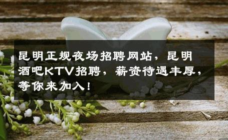 昆明正规夜场招聘网站，昆明酒吧KTV招聘，薪资待遇丰厚，等你来加入！