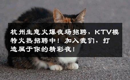 杭州生意火爆夜场招聘，KTV模特火热招聘中！加入我们，打造属于你的精彩夜！