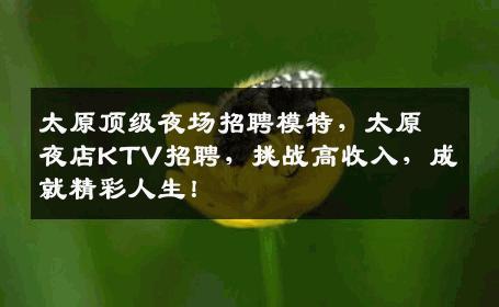 太原顶级夜场招聘模特，太原夜店KTV招聘，挑战高收入，成就精彩人生！