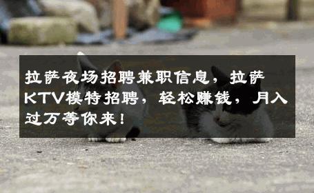 拉萨夜场招聘兼职信息，拉萨KTV模特招聘，轻松赚钱，月入过万等你来！