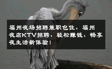 福州夜场招聘兼职包住，福州夜店KTV招聘，轻松赚钱，畅享夜生活新体验！