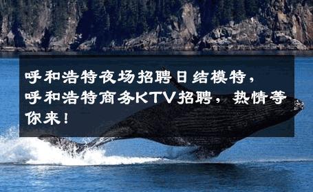 呼和浩特夜场招聘日结模特，呼和浩特商务KTV招聘，热情等你来！
