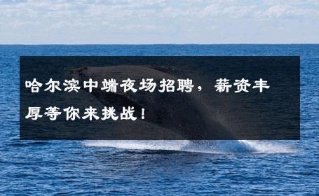 哈尔滨中端夜场招聘，薪资丰厚等你来挑战！