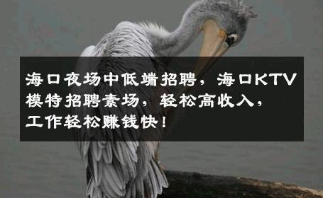 海口夜场中低端招聘，海口KTV模特招聘素场，轻松高收入，工作轻松赚钱快！