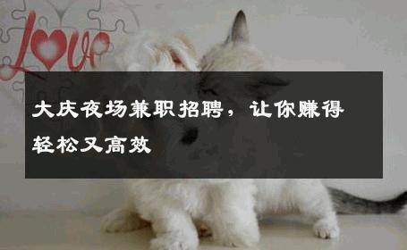 大庆夜场兼职招聘，让你赚得轻松又高效