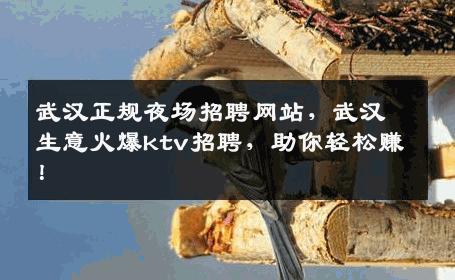 武汉正规夜场招聘网站，武汉生意火爆ktv招聘，助你轻松赚！