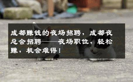 成都赚钱的夜场招聘，成都夜总会招聘——夜场职位，轻松赚，机会难得！