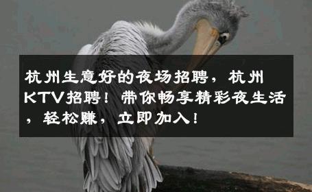 杭州生意好的夜场招聘，杭州KTV招聘！带你畅享精彩夜生活，轻松赚，立即加入！