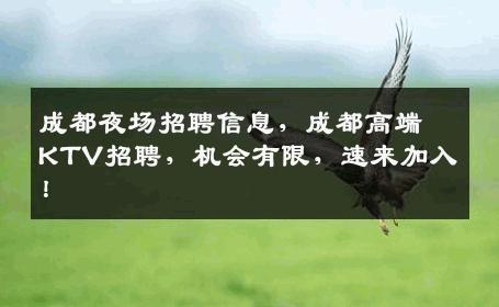 成都夜场招聘信息，成都高端KTV招聘，机会有限，速来加入！