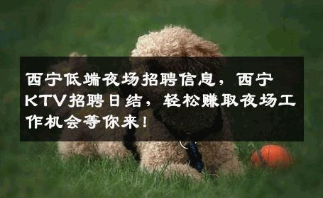 西宁低端夜场招聘信息，西宁KTV招聘日结，轻松赚取夜场工作机会等你来！