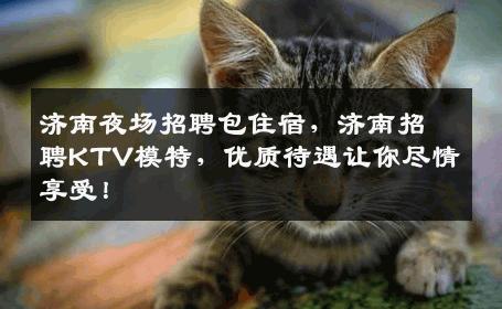 济南夜场招聘包住宿，济南招聘KTV模特，优质待遇让你尽情享受！