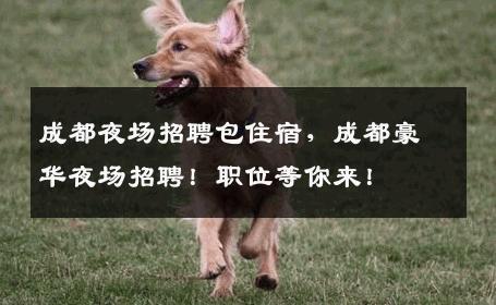 成都夜场招聘包住宿，成都豪华夜场招聘！职位等你来！